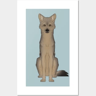 Side-Striped Jackal Posters and Art